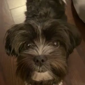 Meet your Posher, Renee